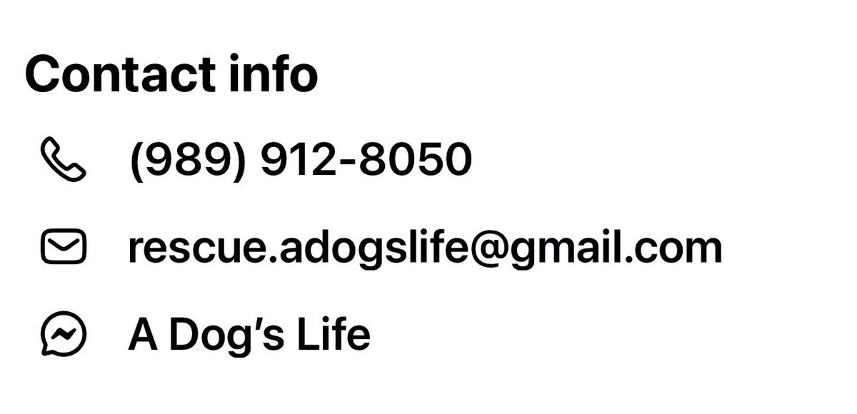 RevaliTheBerner tweet media