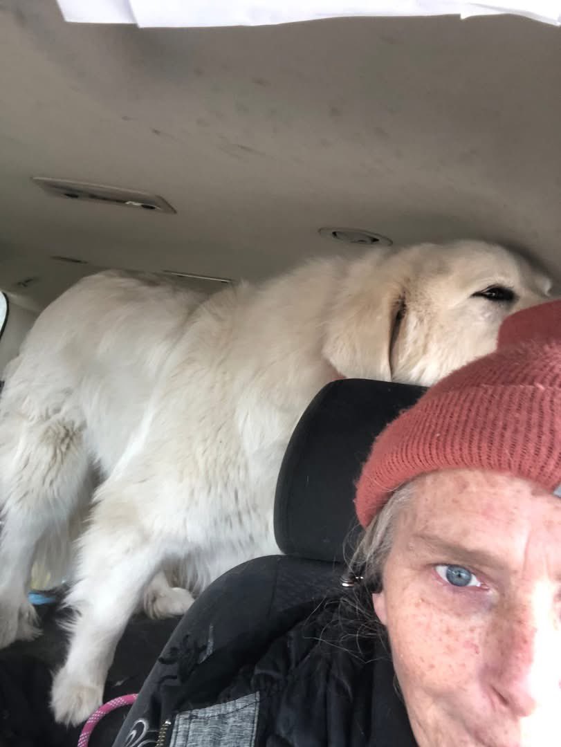 RevaliTheBerner tweet media