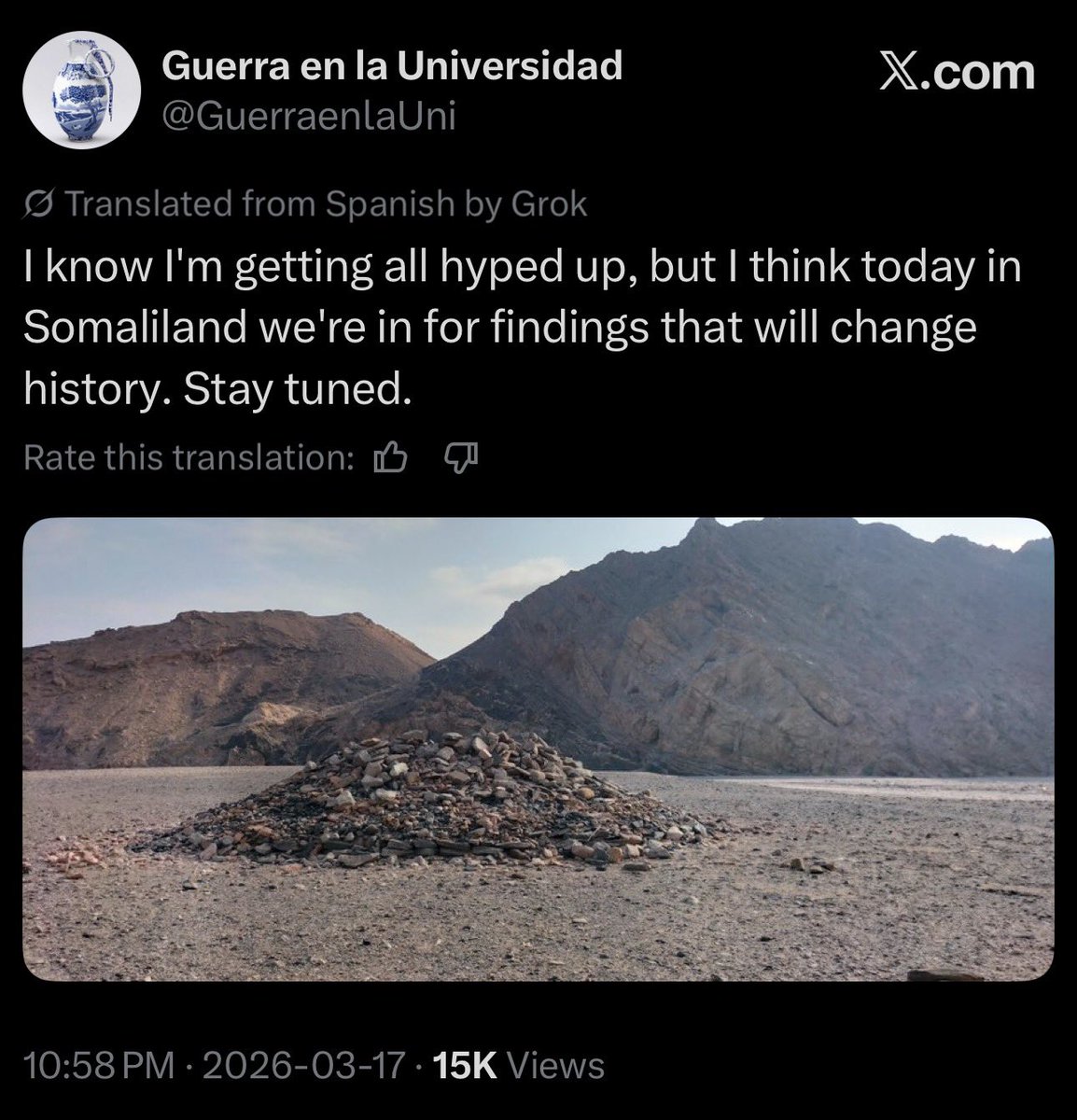 Horndiplomat tweet media