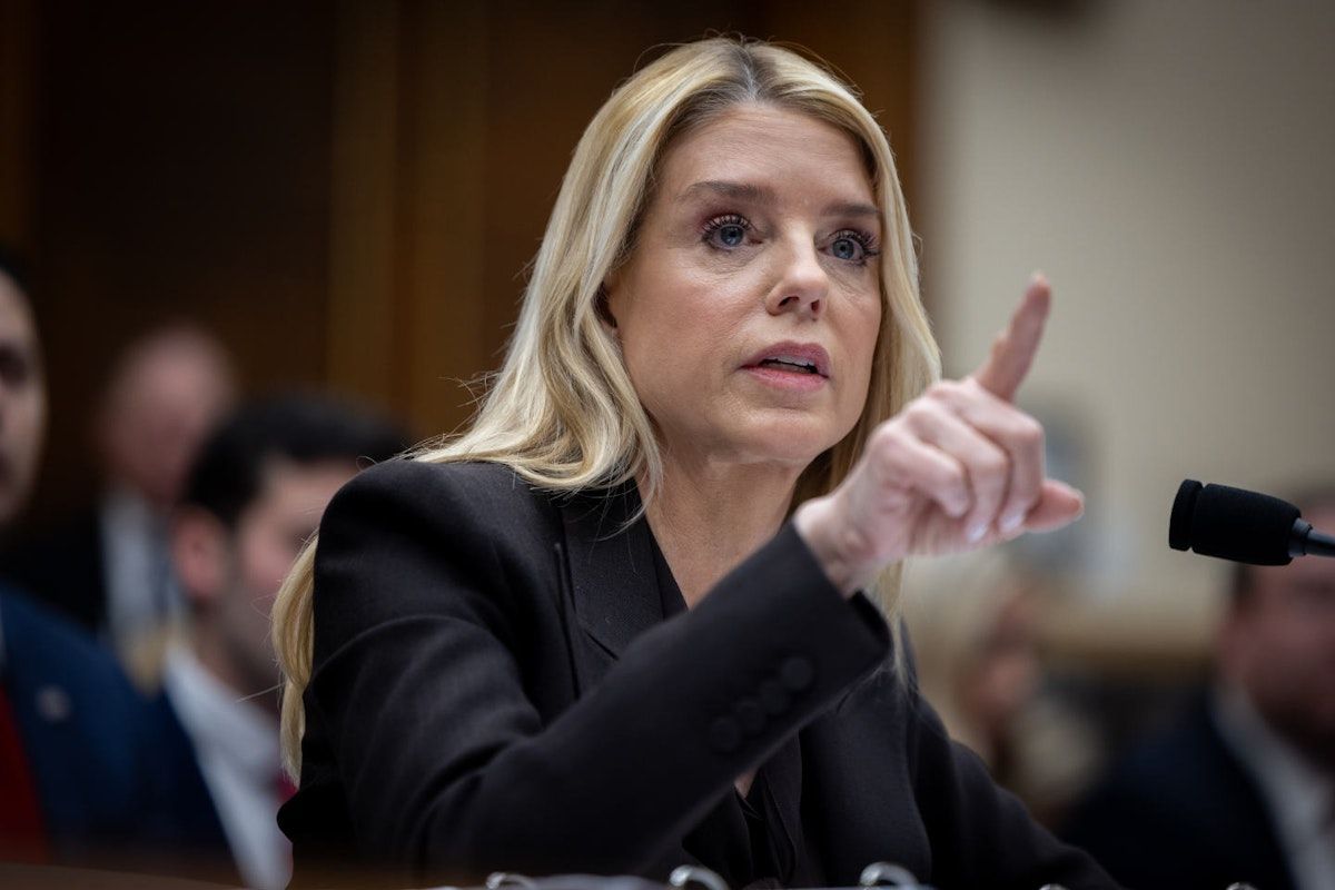 Live Action News tweet media