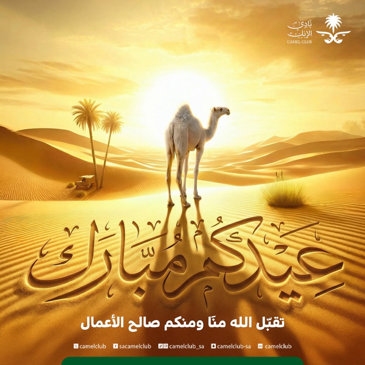 نادي الإبل tweet media