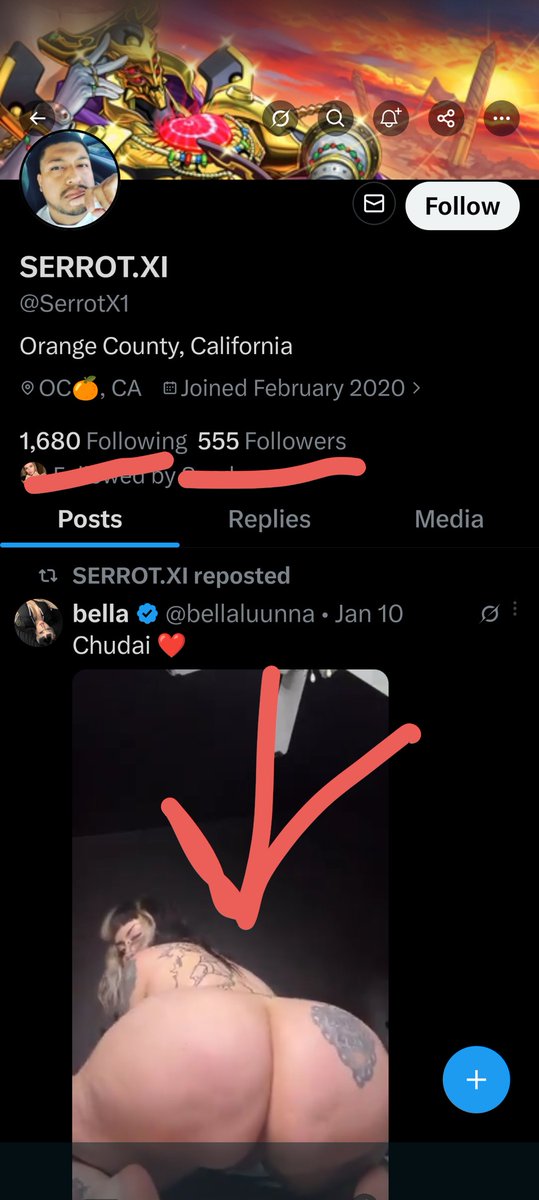 Straight Florida tweet media