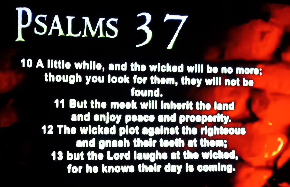 U.S Patriots tweet media