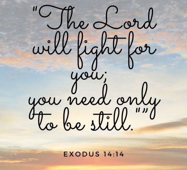 U.S Patriots tweet media