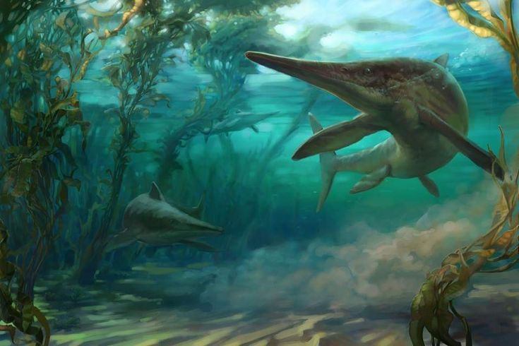 🇻🇪Pingu🇻🇪(COMMISSIONS OPENS) tweet media