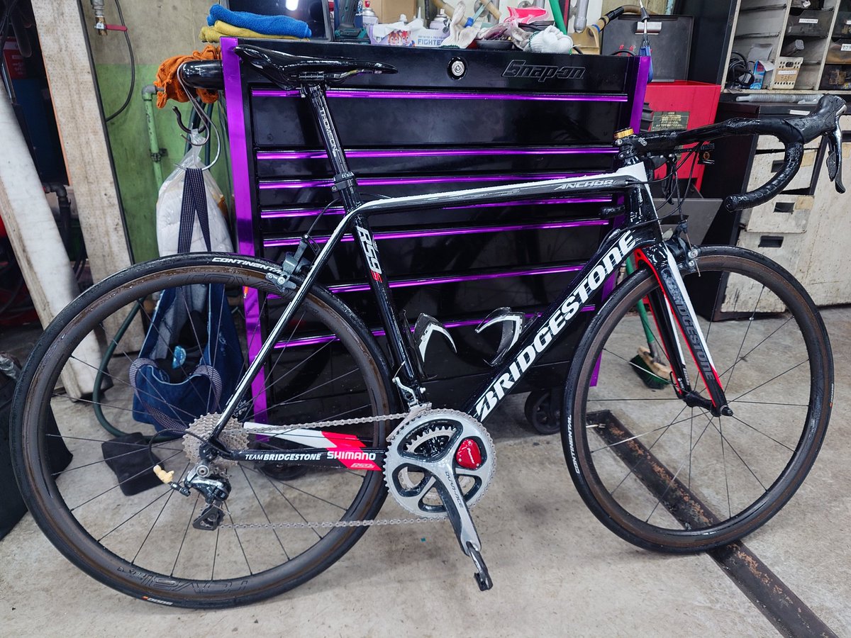 しゃとる（雷鳥の人）🦃🦊 tweet media