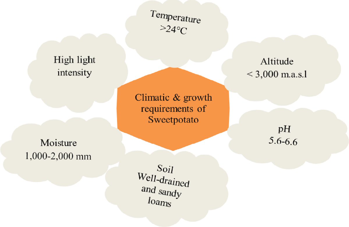 Maximum Academic tweet media