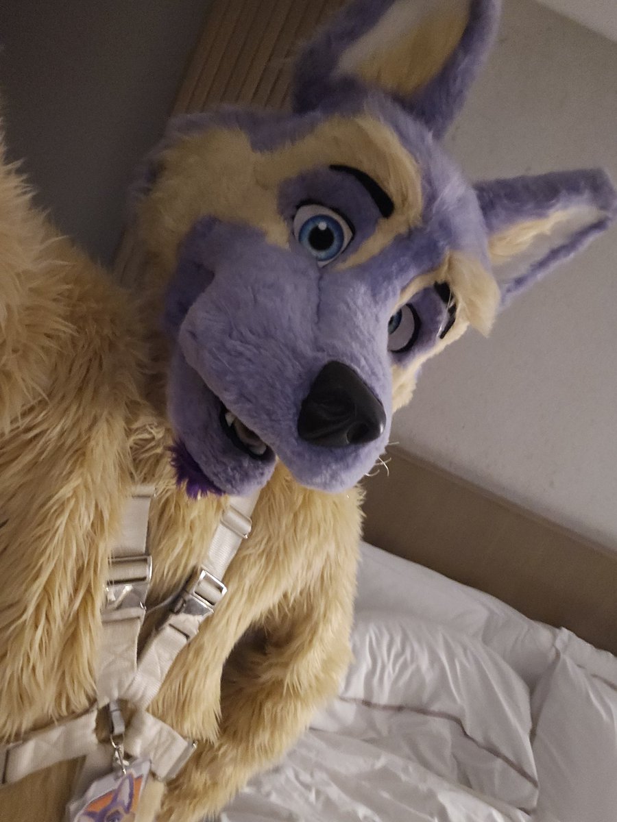 Lavshep 🔜 ??? tweet media