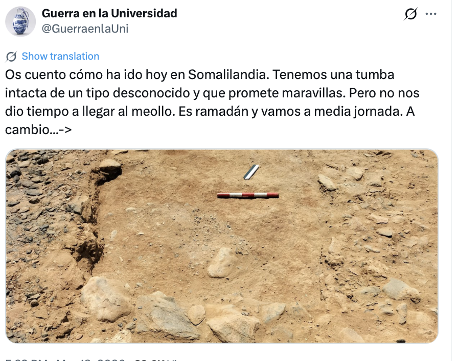 Horndiplomat tweet media