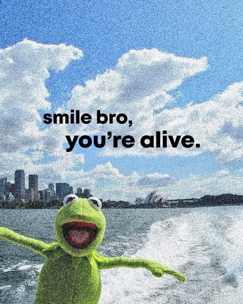 T R E C C ○ tweet media