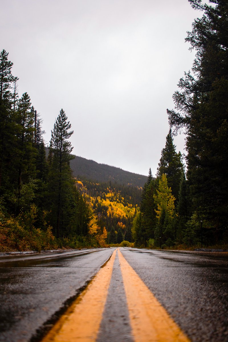 Sarah 📸 tweet media