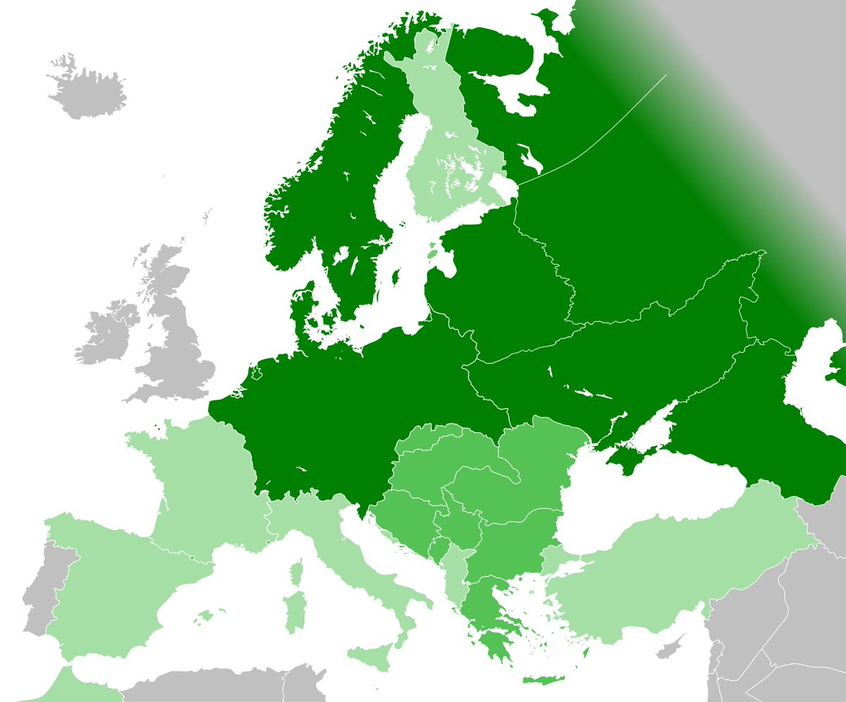 Gio Scotti Chud tweet media