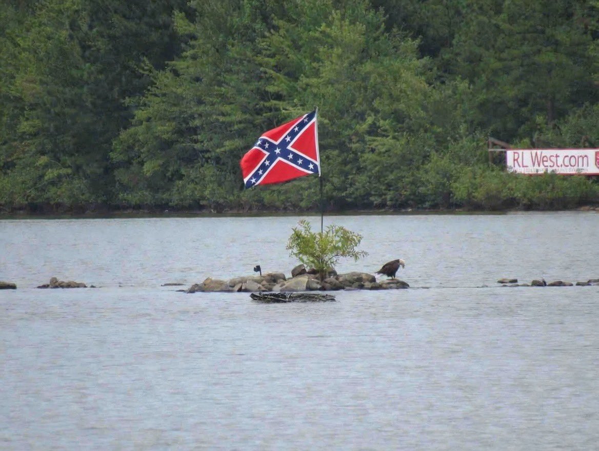 Cedar Posts tweet media