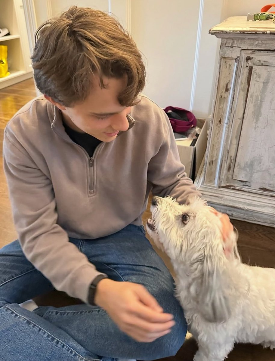 bedsys hair brush tweet media