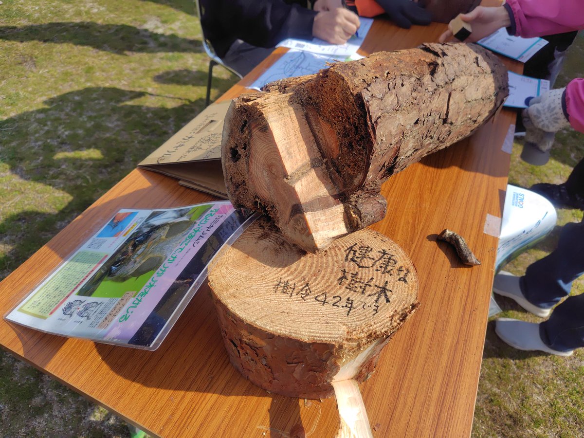 きょうと生物多様性センター tweet media