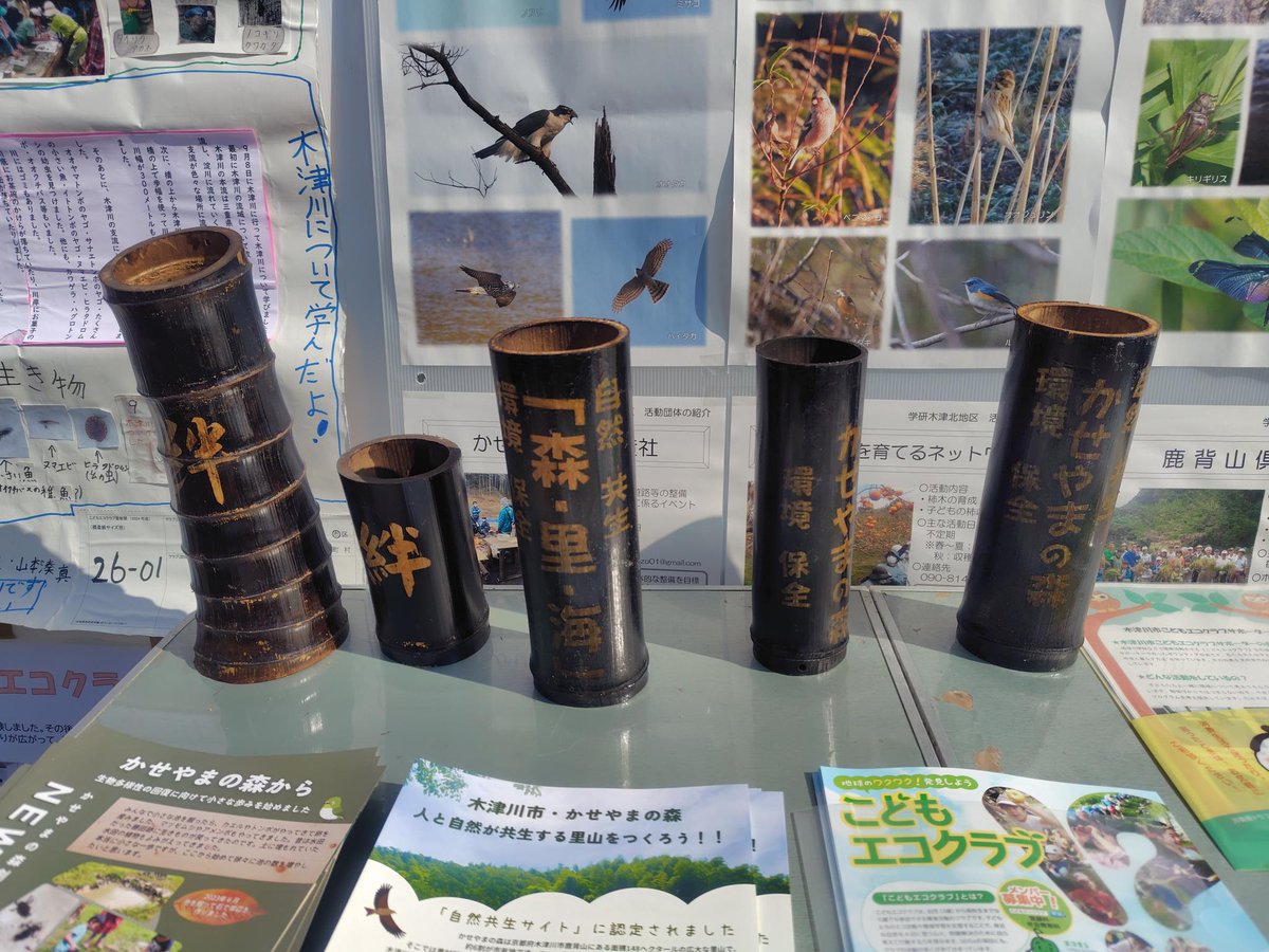 きょうと生物多様性センター tweet media