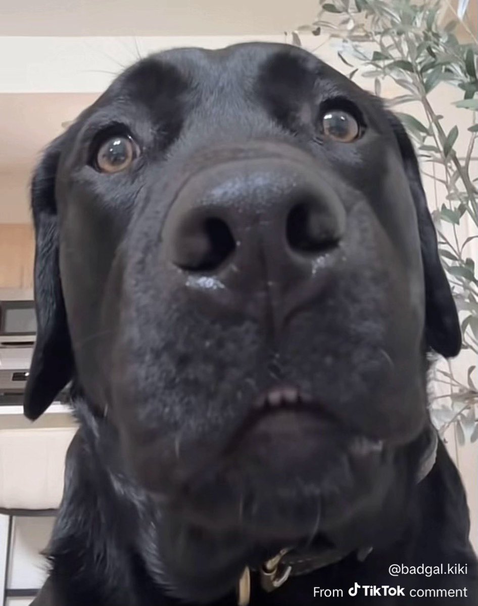 Tre Carroll tweet media