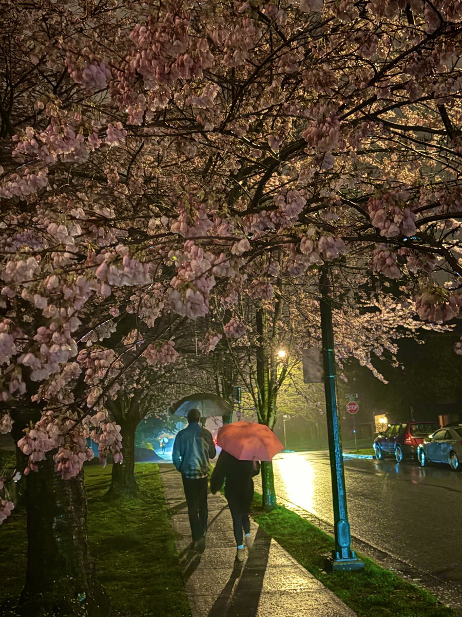 deepa 🏴‍☠️ tweet media