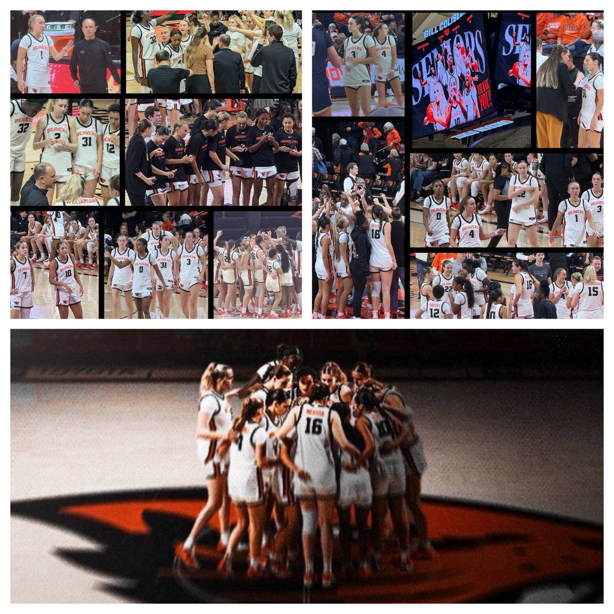 T-Time “The OSU 🦫 WBB Firebrand 🔥” tweet media