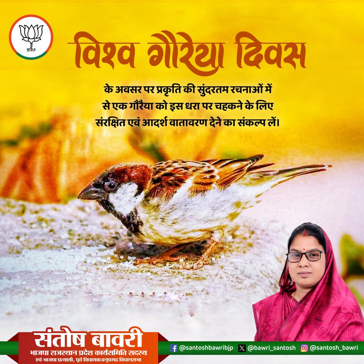 SantoshBawri's tweet image. गौरैया का संरक्षण, पर्यावरण का संतुलन।
आइए मिलकर इसे साकार करें।
#WorldSparrowDay #BalanceNature #SaveEarth