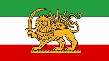 meagan machardy tweet media