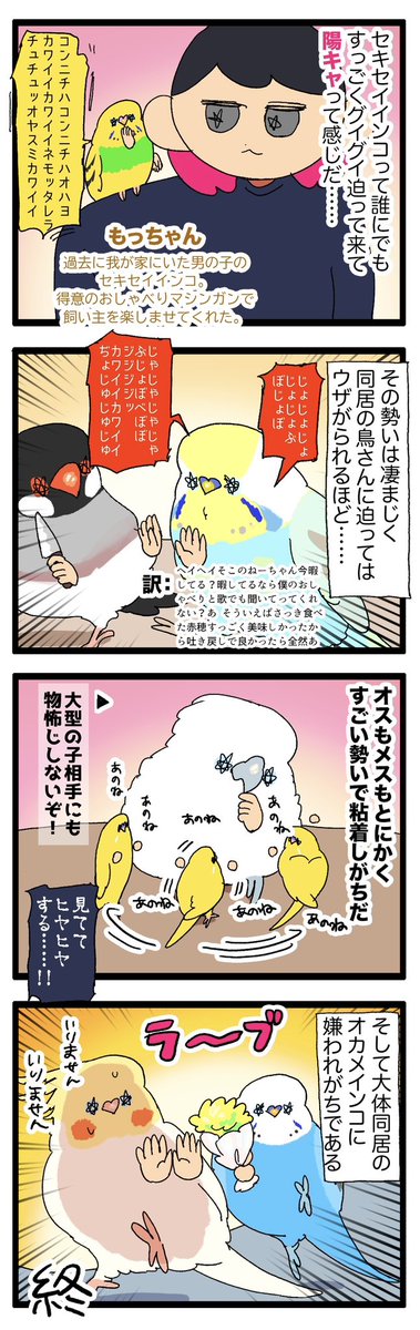 lpo_on's tweet photo. セキセイインコ、性質が陽キャでエネルギッシュだな〜と常に思ってる😄
(性格にもよります)

2272  #えるポピの絵日記かくところ https://t.co/rKPwY2jfD0