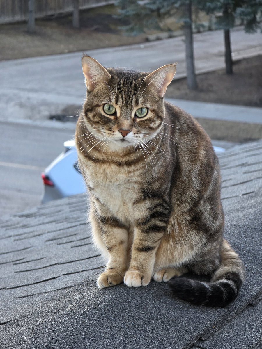 ErwinUlep's tweet photo. #Kiki #spring https://t.co/Yda60w46Im