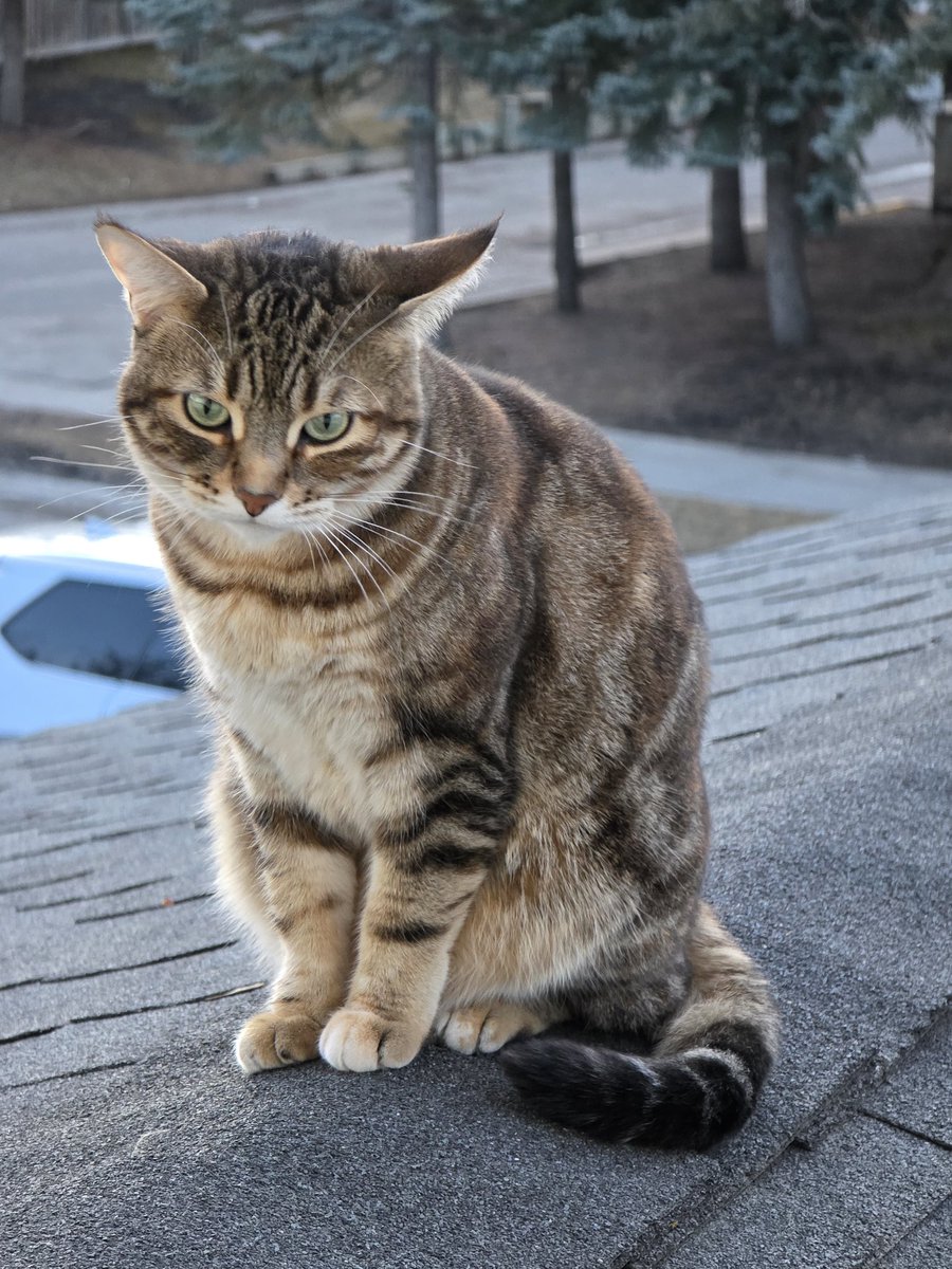 ErwinUlep's tweet photo. #Kiki #spring https://t.co/Yda60w46Im