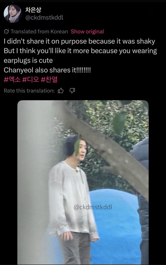 ℂh🦋 tweet media