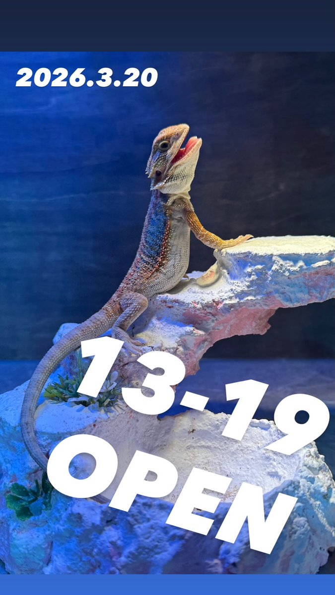 GUNGNIR ANIMALS tweet media