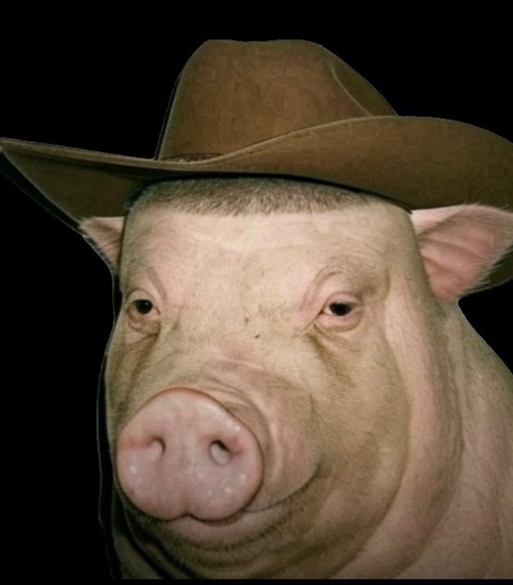 Wigger pig tweet media