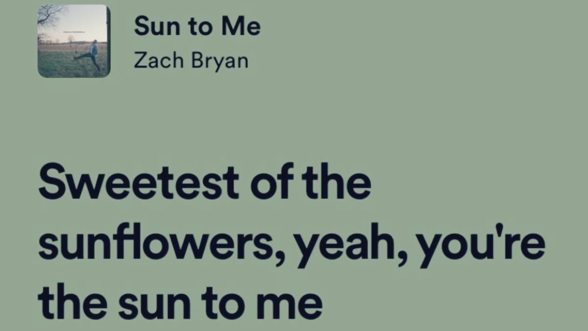 lu ୨ৎ. tweet media