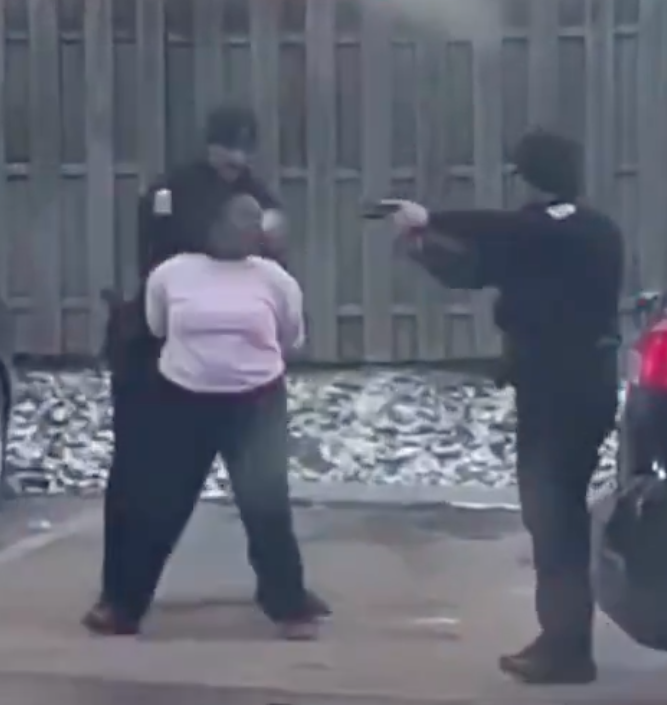 P a u l ◉ tweet media