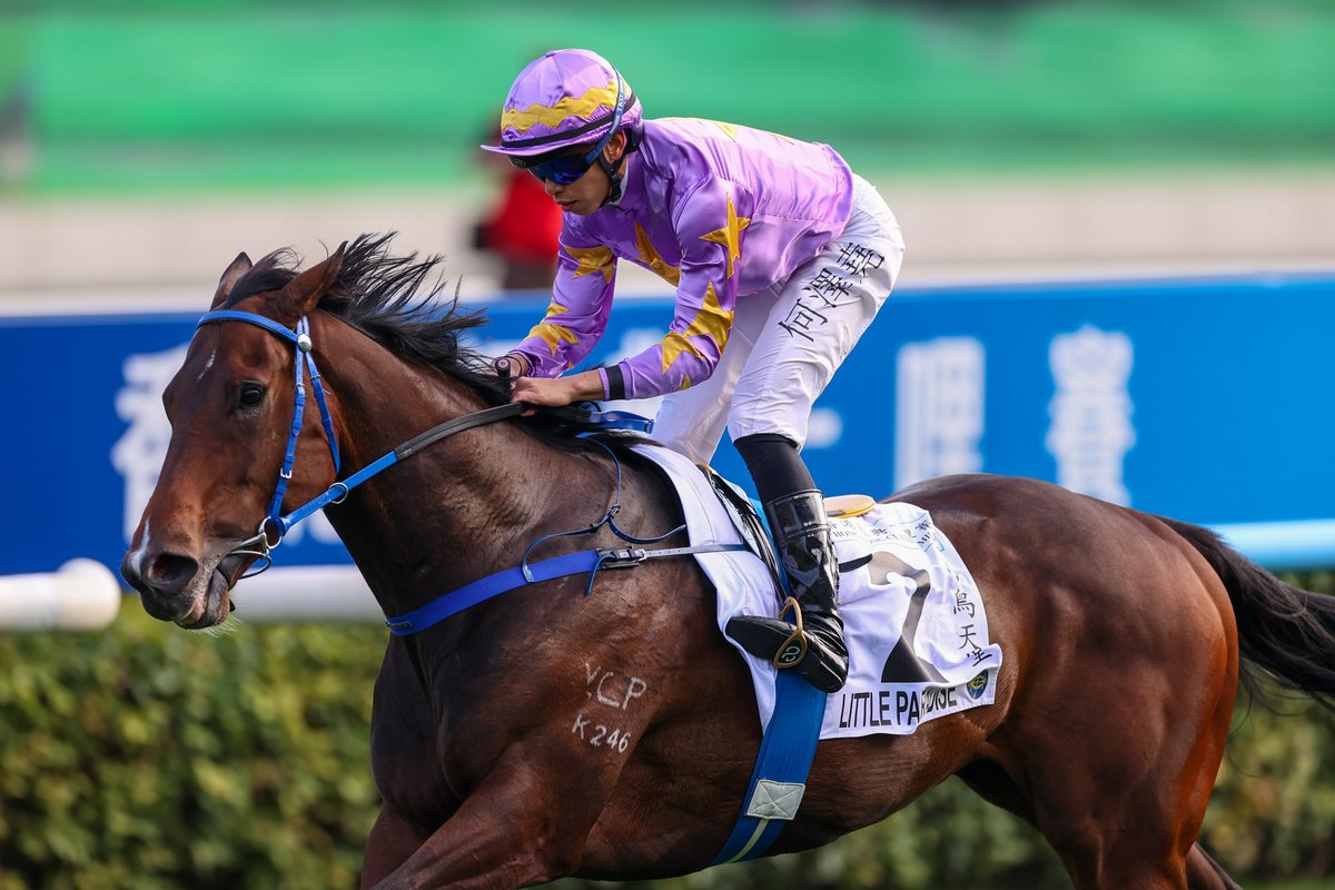 HKJC Racing tweet media