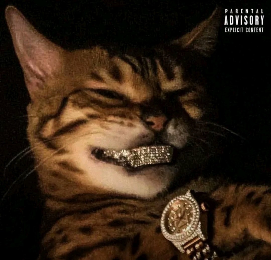 Mamameitor tweet media