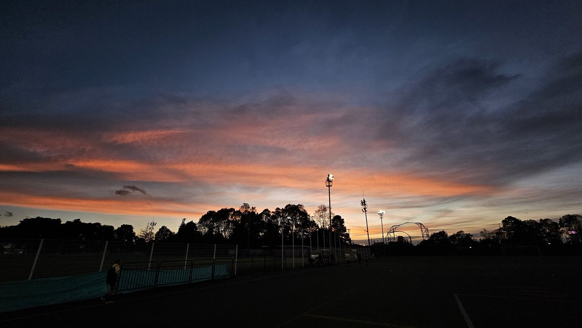 AlfredMichiCamargo tweet media