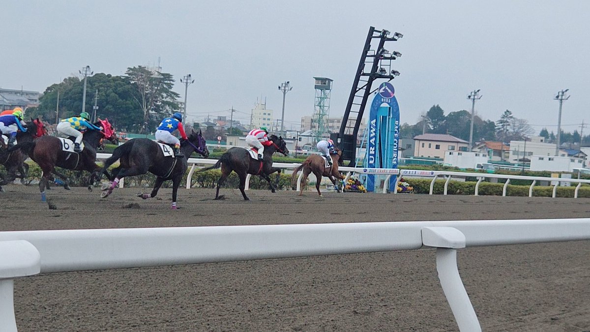 ☯柏原 まや🥃反応遅め💜ᩚ𝐍𝐞𝐱𝐭28🐴併せ tweet media