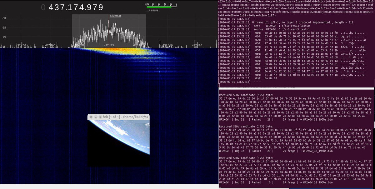 Scott Chapman tweet media