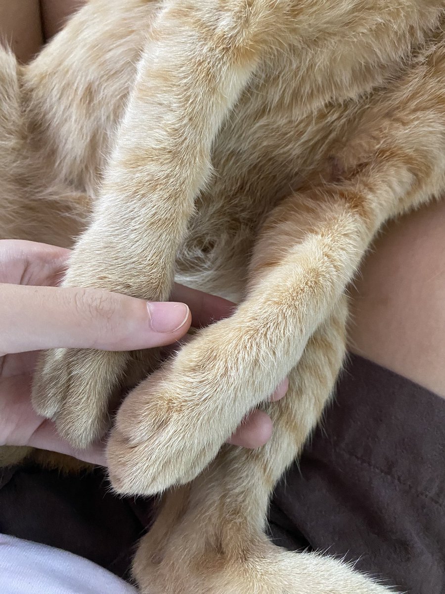 มือใหญ่เหมือนตีพ่อตีแม่ แต่เด็กดีมาก 55555544