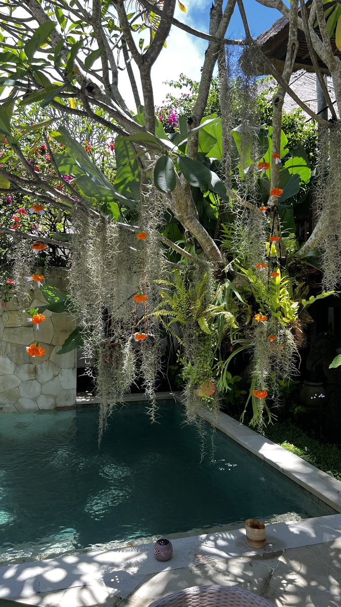 Rin | 🎈#1312 tweet media