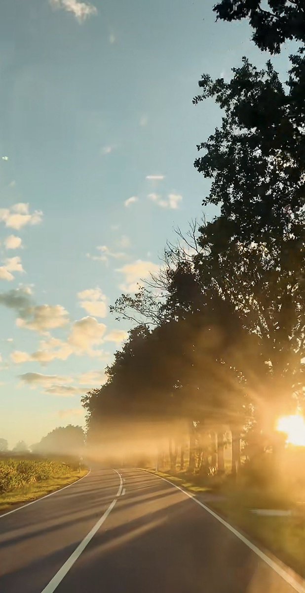 Nolwazi Magagula Msibi tweet media