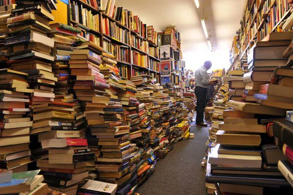 Alan Healy tweet media