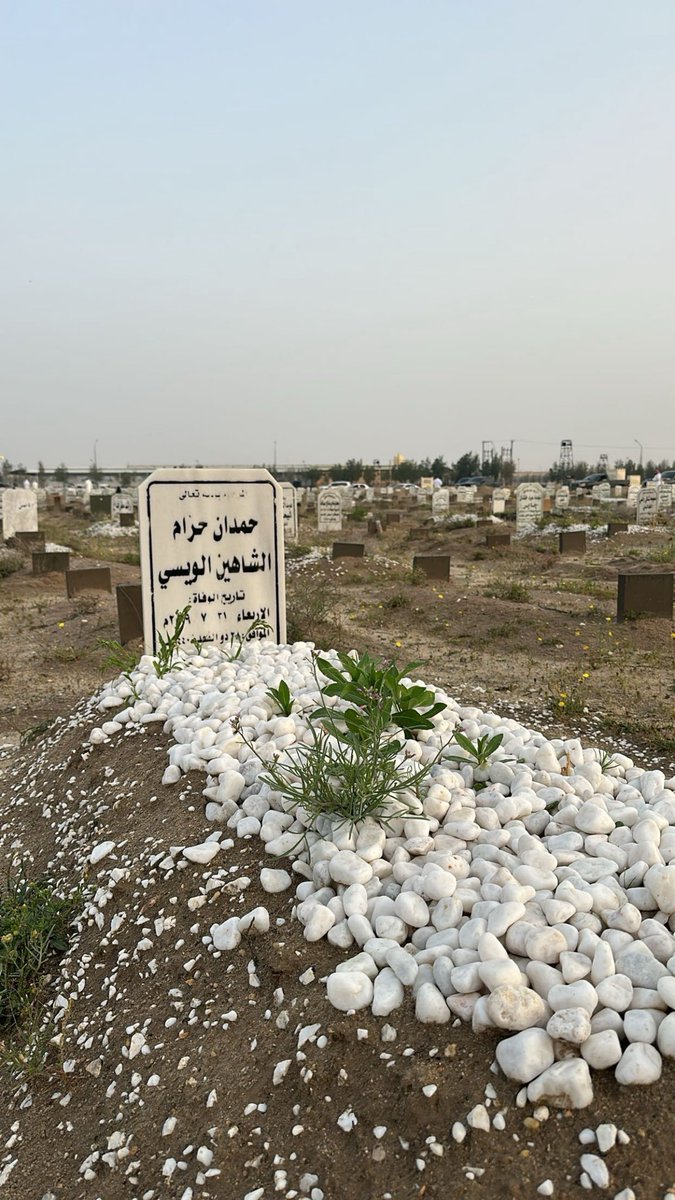 د.حمد الشاهين الشمري tweet media