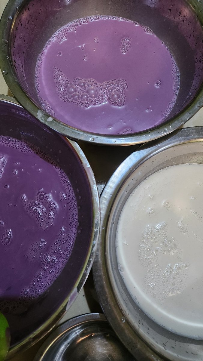 𝕡𝕒𝕠 𝕡𝕒𝕠 tweet media