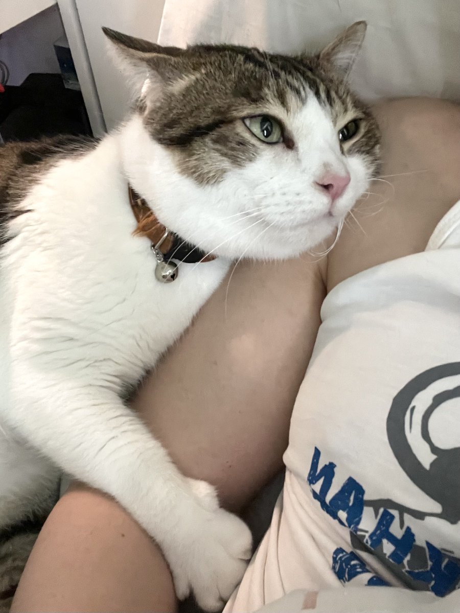 WR X Nana Hachi Hana tweet media