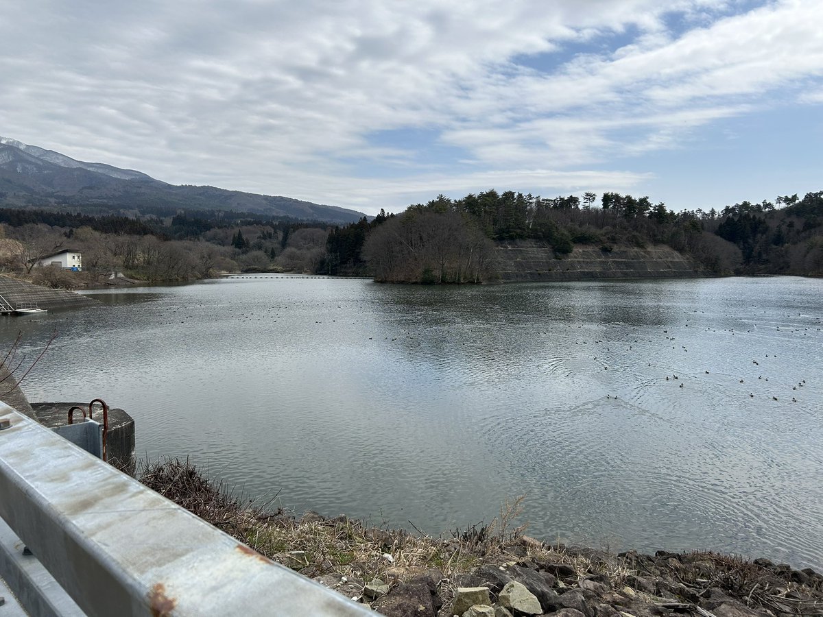 思い立って地元をドライブして里山を歩いてみました。花粉を飛ばしている杉林の側を歩いても花粉症が出ない。不思議ですね。

noxがブーストして花粉症をひどくするというのは本当かもしれませんね。