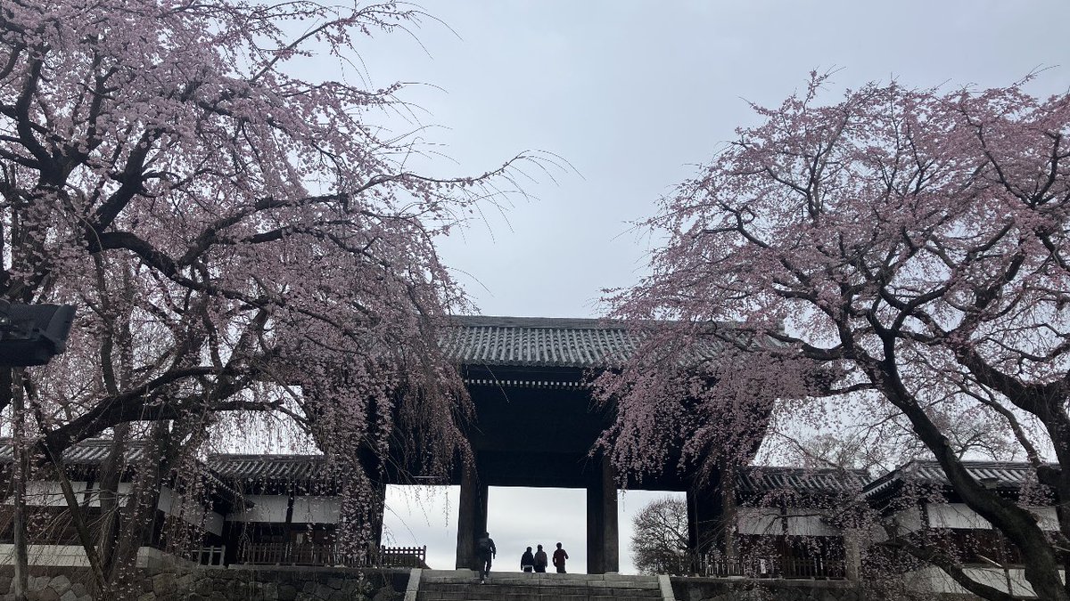 森のくまさん tweet media