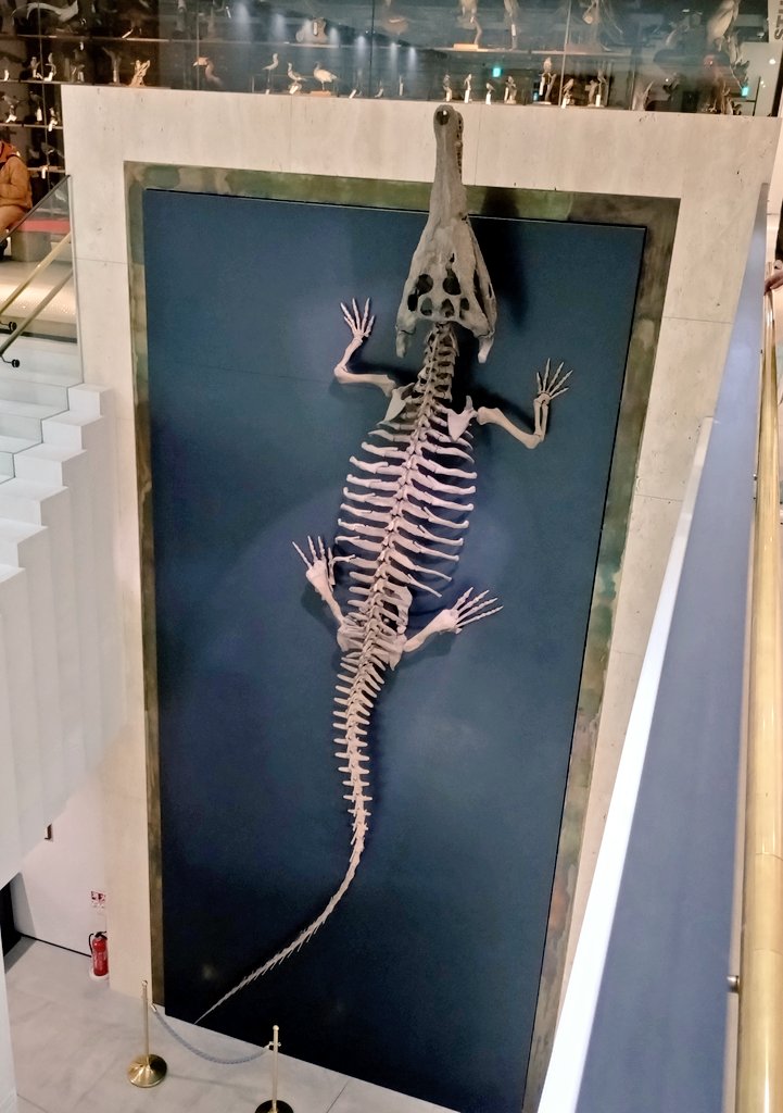 かわそぎ tweet media