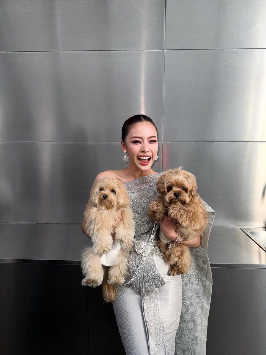 TeamPatChayanit tweet media