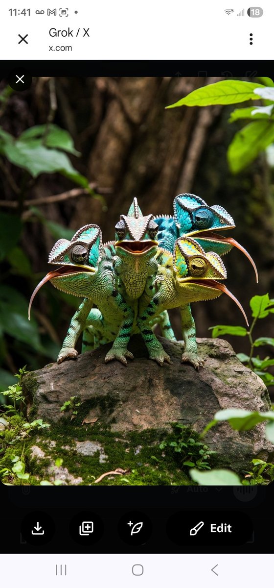 Alaskagirl tweet media